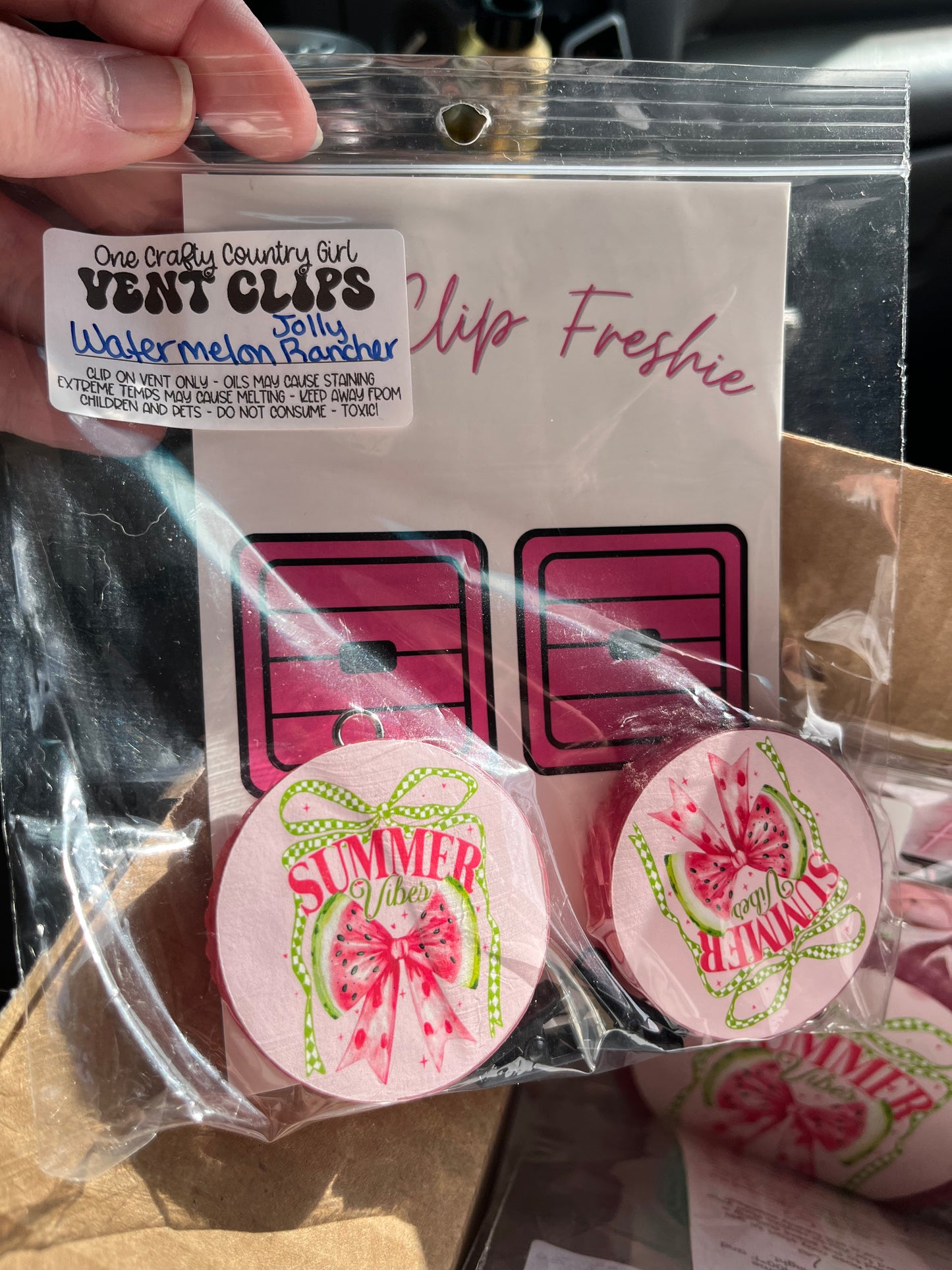 Summer Freshies/vent clips